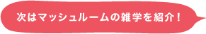 マッシュルームの雑学を紹介！