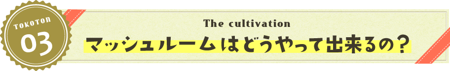 マッシュルームはどうやって出来るの？