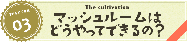 マッシュルームはどうやって出来るの？